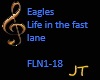 Life in the fast lane