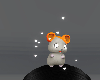 Cute Hamtser Pet