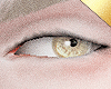 ✶Creator Eyes L