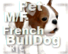 R|C French BullDog Brown