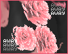 a. stas » peony