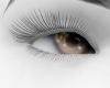 V-Cocoa Eyes