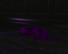 Realistic Purple Cat