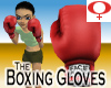 Boxing Gloves -Female v1