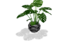 Sculpted Potted Plant
