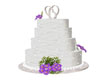 SPECIAL WEDDING CAKE