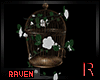 𝓡𓄿 W Roses Cage