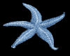 [CBWD] starfish marker