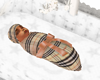 Boogie newborn crib