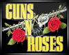 Guns And Roses Poster