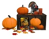 Thanksgiving Crate Deco