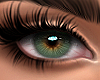 Eyes - L Hazel