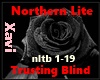 Northern Lite