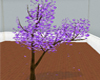 [DML] Purple Tree