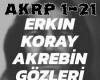 6v3| Erkin Koray