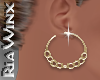 Wx:Gold Wire Hoops