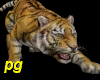 [PG] TIGER PET + SOUNDS