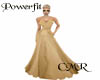 CMR/Powerfit Long Gown I