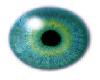 G&B bluish green Eye M
