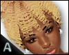 Braya Sunkissed Hair