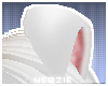 𝓦 | Demi Ear Snow