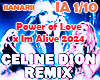 Celinedion new remix