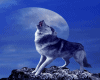 blue moon and wolves