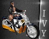 IV.Harley Sportster Bike