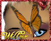 WF>Monarch Butterfly Pet