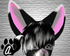 AzKi|Fur of Spades ears