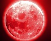 Red moon open sky