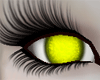 [MP] Unicorn Yellow Eyes