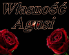 Wlasnosc Agusi