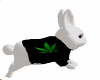 Weed Bunny 