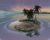 C* island mystic dream