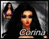 Black Hair Fly Corina