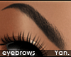 Y: kiki eyebrows HD +