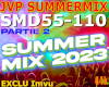 SummerMix 2023 part2