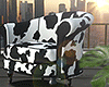 金 Cow chair