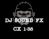 DJ FX SX