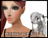 S N Bunny Pet 2