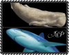 2 whale/shark Filler