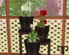 🤍P Flower pots