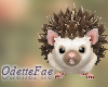Little Hedgehog