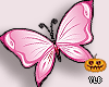 Y- Butterfly Animated