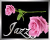 Jazz Pink Rose