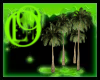 Sandy Beach Palms
