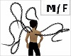 M/F Animated Back Chains
