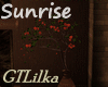 Sunrise  Plant