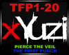 Pierce The Veil - TFP